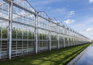 Greenhouses roll forming machine subcategory